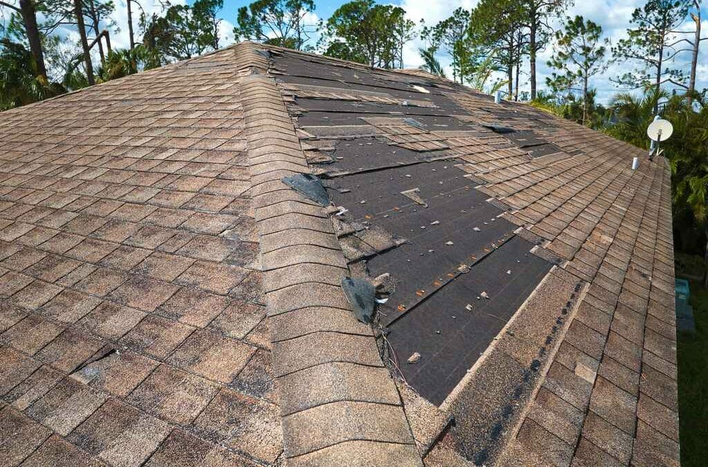 What Is The Typical Cost Of A Roof Replacement In Waltham?